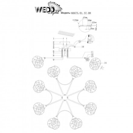 Потолочная люстра Wedo Light Ajzone 66675.01.37.08