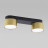 Потолочный светильник TK Lighting 6141 Space Black Gold