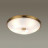 Потолочный светильник Odeon Light Pelow 4956/5