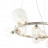 Подвесная люстра Lumien Hall Lovrenc LH4125/14P-SN-CL