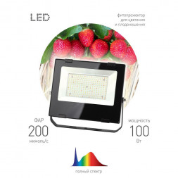 Прожектор светодиодный для растений ЭРА 100W 4000K Fito-100W-Ra90-Led Б0047876