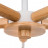 Люстра потолочная Arte Lamp Matthew A5032PL-5BR