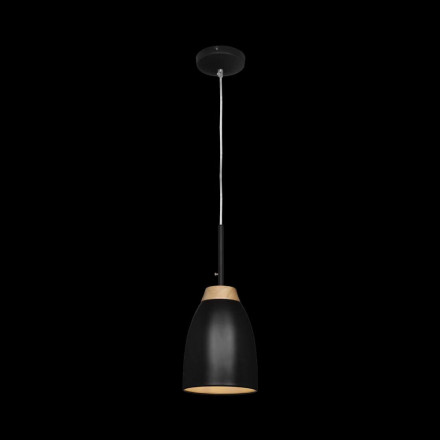 Подвесной светильник Loft IT Watchman Loft4402A-Bl