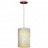 Подвесной светильник Lussole VeteRE I LSF-2316-01