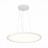 Подвесной светильник ST Luce ST602.543.56