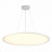 Подвесной светильник ST Luce ST602.543.96