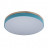 Потолочный светильник Loft IT Axel 10001/36 blue
