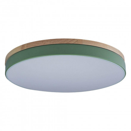 Потолочный светильник Loft IT Axel 10001/36 green