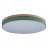 Потолочный светильник Loft IT Axel 10001/36 green