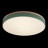 Потолочный светильник Loft IT Axel 10001/36 green