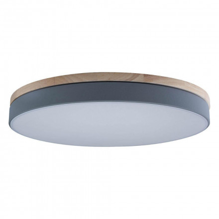 Потолочный светильник Loft IT Axel 10001/36 grey