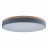 Потолочный светильник Loft IT Axel 10001/36 grey