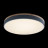 Потолочный светильник Loft IT Axel 10001/36 grey