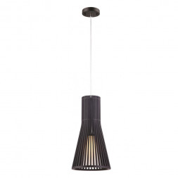 Светильник подвесной Arte Lamp Carcassa A2931SP-1BR