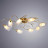 Люстра потолочная Arte Lamp Mughetto A9289PL-8GO