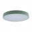 Потолочный светильник Loft IT Axel 10002/24 green