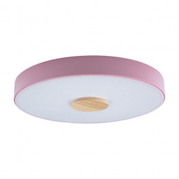 Потолочный светильник Loft IT Axel 10003/24 pink