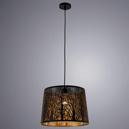 Светильник подвесной Arte Lamp Celesta A2769SP-1BK