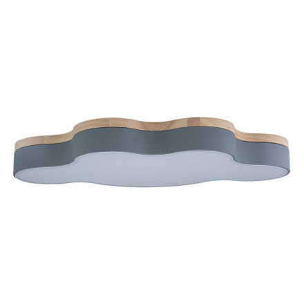 Потолочный светильник Loft IT Axel 10005/36 grey