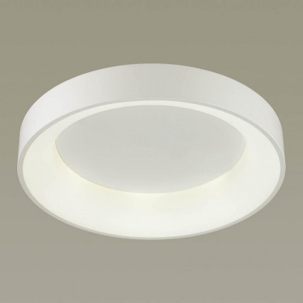 Потолочный светильник Odeon Light Sole 4066/40CL