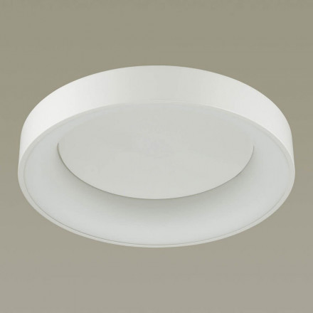 Потолочный светильник Odeon Light Sole 4066/40CL