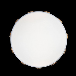 Потолочный светильник Loft IT Axel 10006/36 white