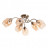 Люстра потолочная Arte Lamp Riccio A7758PL-6AB