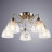 Люстра потолочная Arte Lamp Rugiada A1658PL-5AB