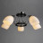 Люстра потолочная Arte Lamp Florentino A7144PL-5BK