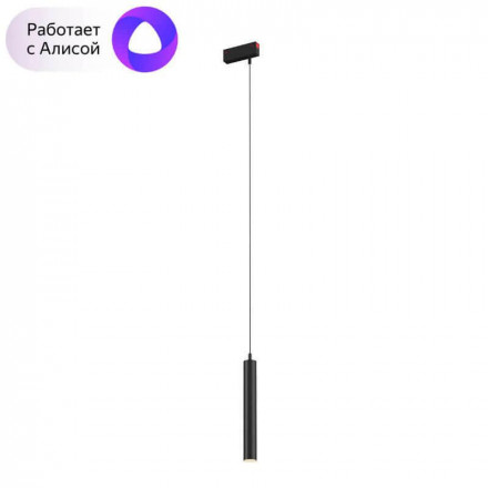 Светильник трековый Denkirs DK8008-BK