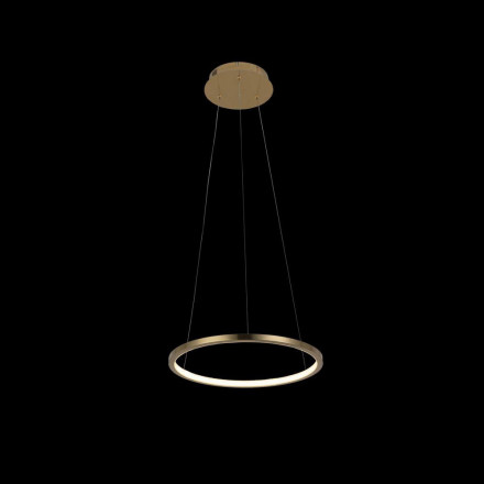 Подвесной светильник Loft IT Ring 10014S
