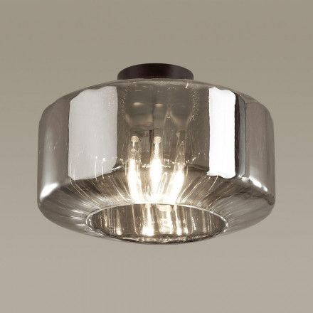 Потолочный светильник Odeon Light Binga 4746/1C