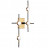 Настенный светильник Lightstar Bergamo 745647