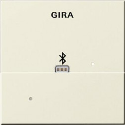 Лицевая панель Apple Lightning Gira System 55 для вставки док-станции кремовый глянцевый 228701