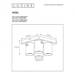 Спот Lucide Nigel 09929/20/02