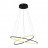 Светильник подвесной Arte Lamp A2500SP-2BK