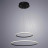 Светильник подвесной Arte Lamp A2500SP-2BK