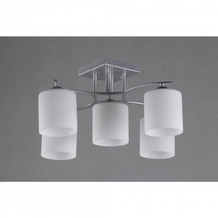 Потолочная люстра Omnilux Pisticci OML-55307-05