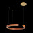 Подвесной светильник Loft IT Ring 10025/400 Orange