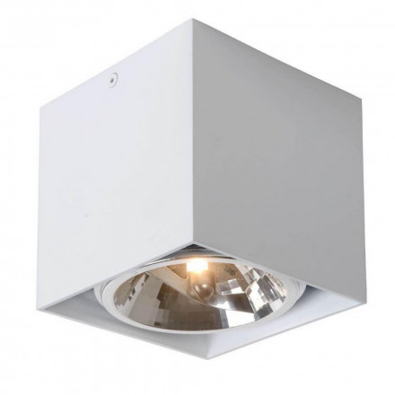 Потолочный светильник Lucide Dialo Led 09911/12/31