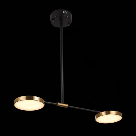 Подвесная люстра ST Luce Farone SL1605.403.02