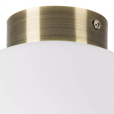 Настенно-потолочный светильник Lightstar Globo 812031